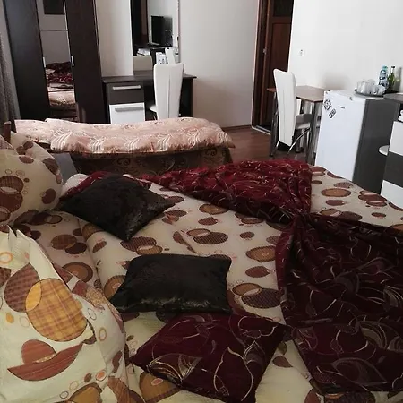 Camere-apartament Steyna 3* Alba Iulia